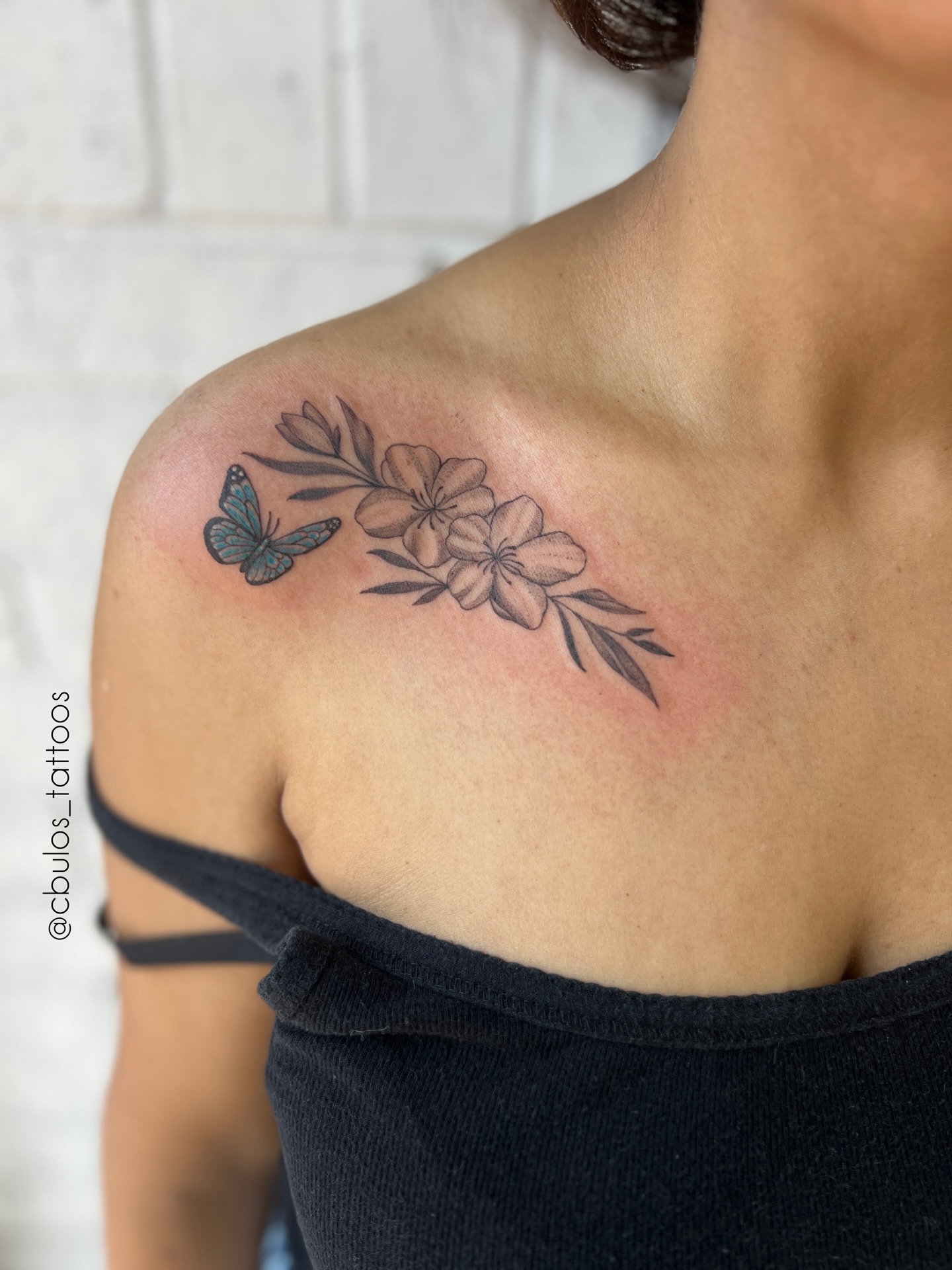 Butterfly & blossoms