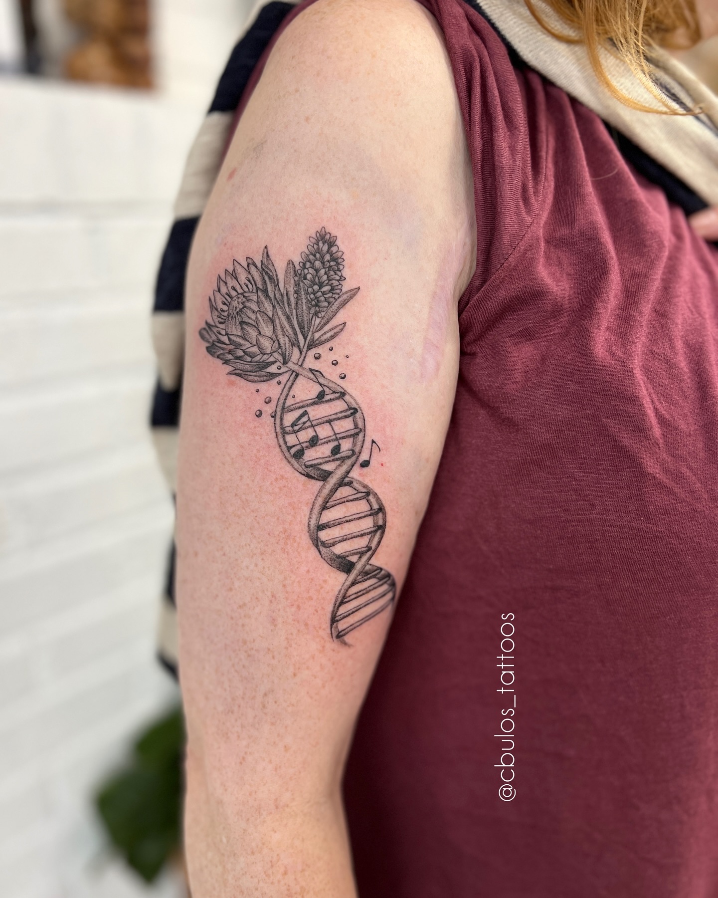 DNA, protea & music