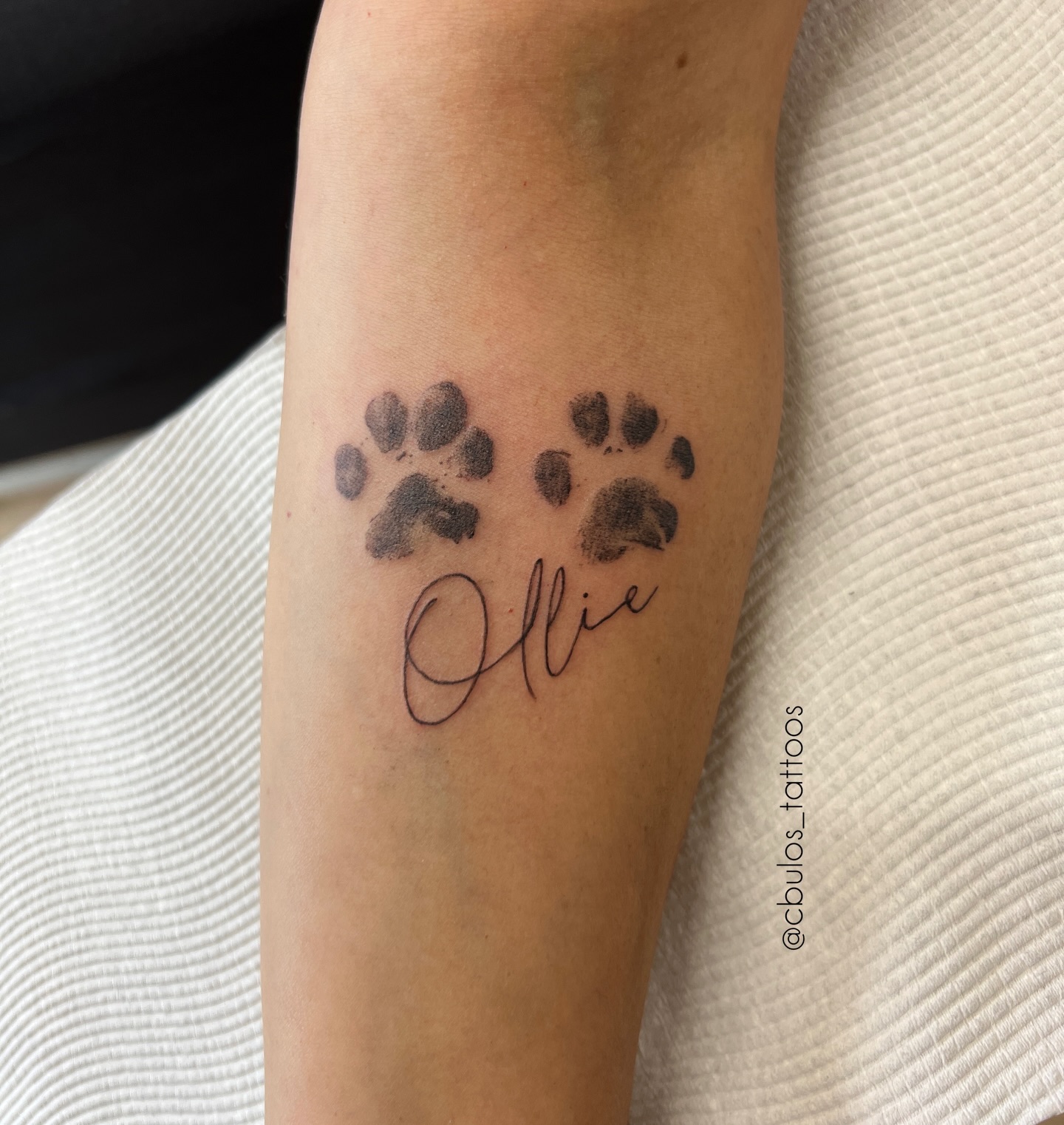 Ollie — paw prints