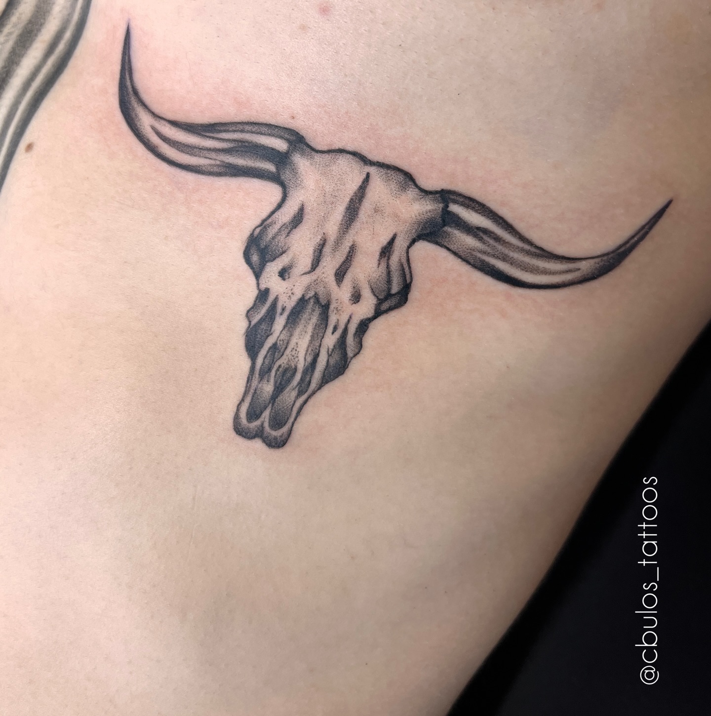 Bull skull — chest