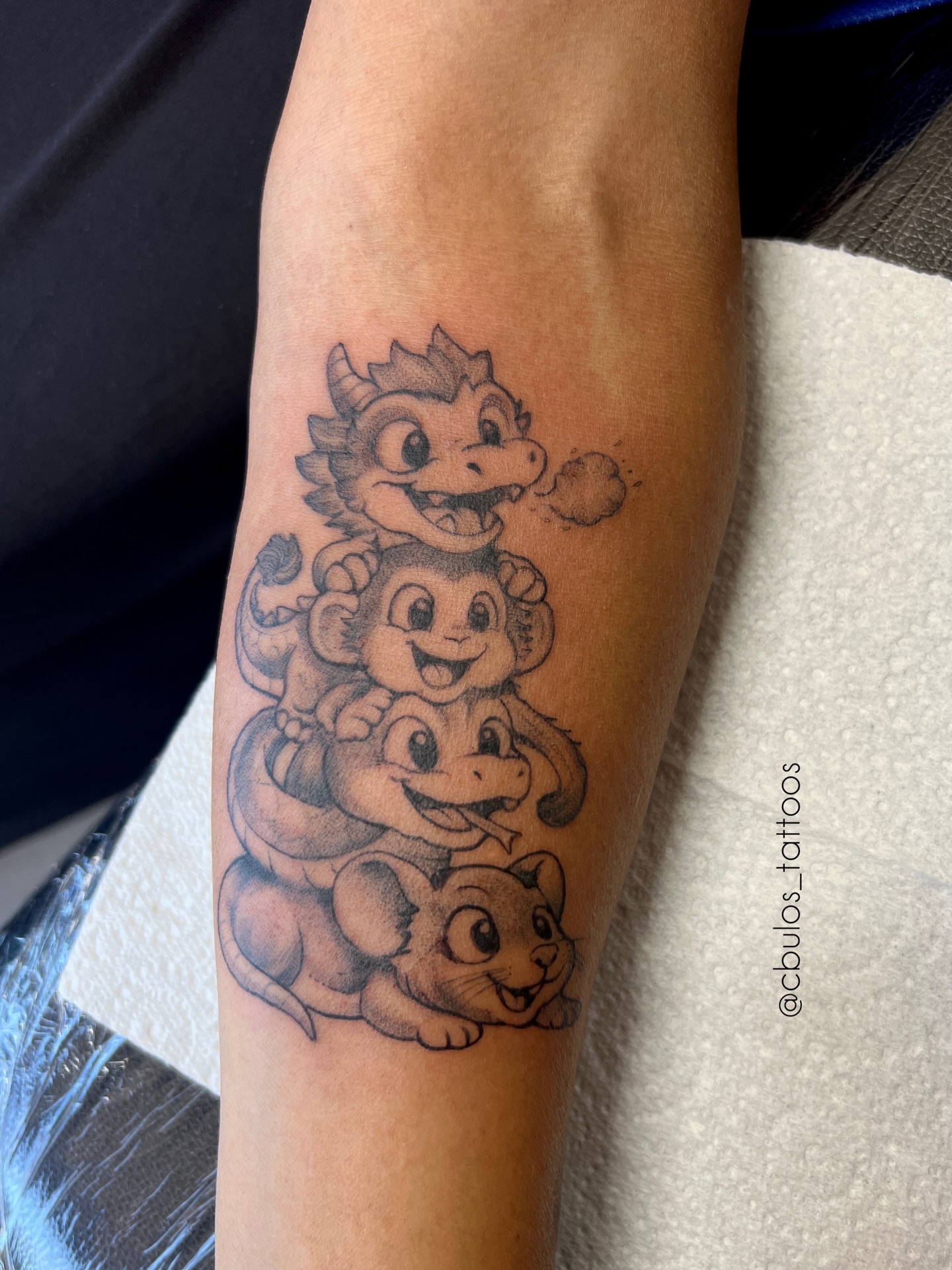 Zodiac stack — forearm